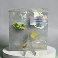 Alocasia Frydek Variegated – Grower’s Choice Tissue Culture